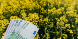 investment incentives