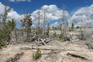 impacts of climate change on investments